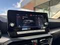 SEAT Leon 1.0 TSI Reference| LED, Clima, Navi, Cruise, CarPl Rouge - thumbnail 18