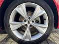 SEAT Leon 1.0 TSI Reference| LED, Clima, Navi, Cruise, CarPl Rosso - thumbnail 5