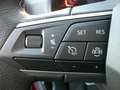 SEAT Arona ARONA ROAD EDITION 1.0 TSI AHZV-VORBER. SITZHEI. Rot - thumbnail 23