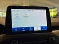Ford Focus 1.5EcoBoost Titanium Aut. LED ACC SHZ Negro - thumbnail 22