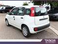 Fiat Panda MHEV 70 5"-DAB PDC DigCo 5-S LaneA Blanc - thumbnail 4