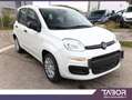 Fiat Panda MHEV 70 5"-DAB PDC DigCo 5-S LaneA Blanc - thumbnail 2