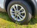 Ford Kuga 2.5 Duratec PHEV TITANIUM X 225PS Weiß - thumbnail 11