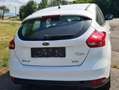 Ford Focus Focus Traveller Van Trend 1,0 EcoBoost Trend Weiß - thumbnail 3