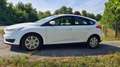 Ford Focus Focus Traveller Van Trend 1,0 EcoBoost Trend Weiß - thumbnail 1