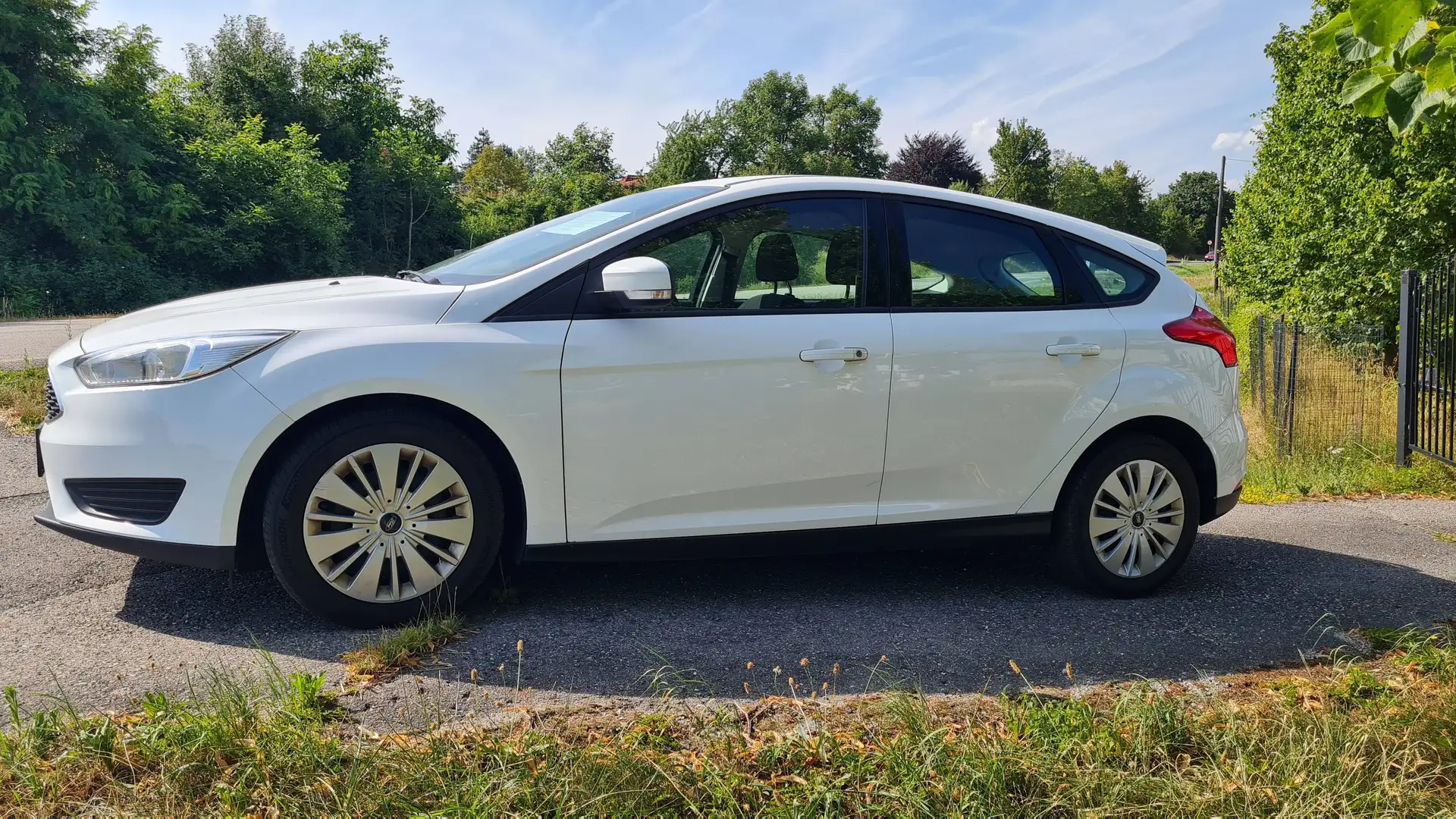 Ford Focus Focus Traveller Van Trend 1,0 EcoBoost Trend Weiß - 1