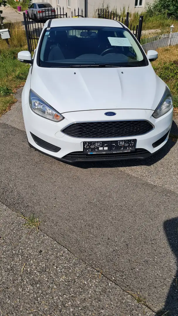 Ford Focus Focus Traveller Van Trend 1,0 EcoBoost Trend Weiß - 2