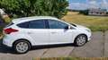 Ford Focus Focus Traveller Van Trend 1,0 EcoBoost Trend Weiß - thumbnail 4