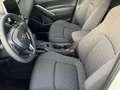 Toyota Corolla Cross Style Comfort 2,0 Hybrid AWD-i Facelift Weiß - thumbnail 9