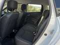 Renault Clio Kombi 1.Besitz Pickerl & Service NEU Carplay SHZG - thumbnail 9