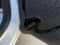 Renault Clio Kombi 1.Besitz Pickerl & Service NEU Carplay SHZG - thumbnail 22