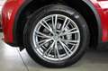 Alfa Romeo Stelvio 2.2 Turbodiesel 190 CV AT8 Q4 Business Rouge - thumbnail 21