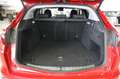 Alfa Romeo Stelvio 2.2 Turbodiesel 190 CV AT8 Q4 Business Rouge - thumbnail 24