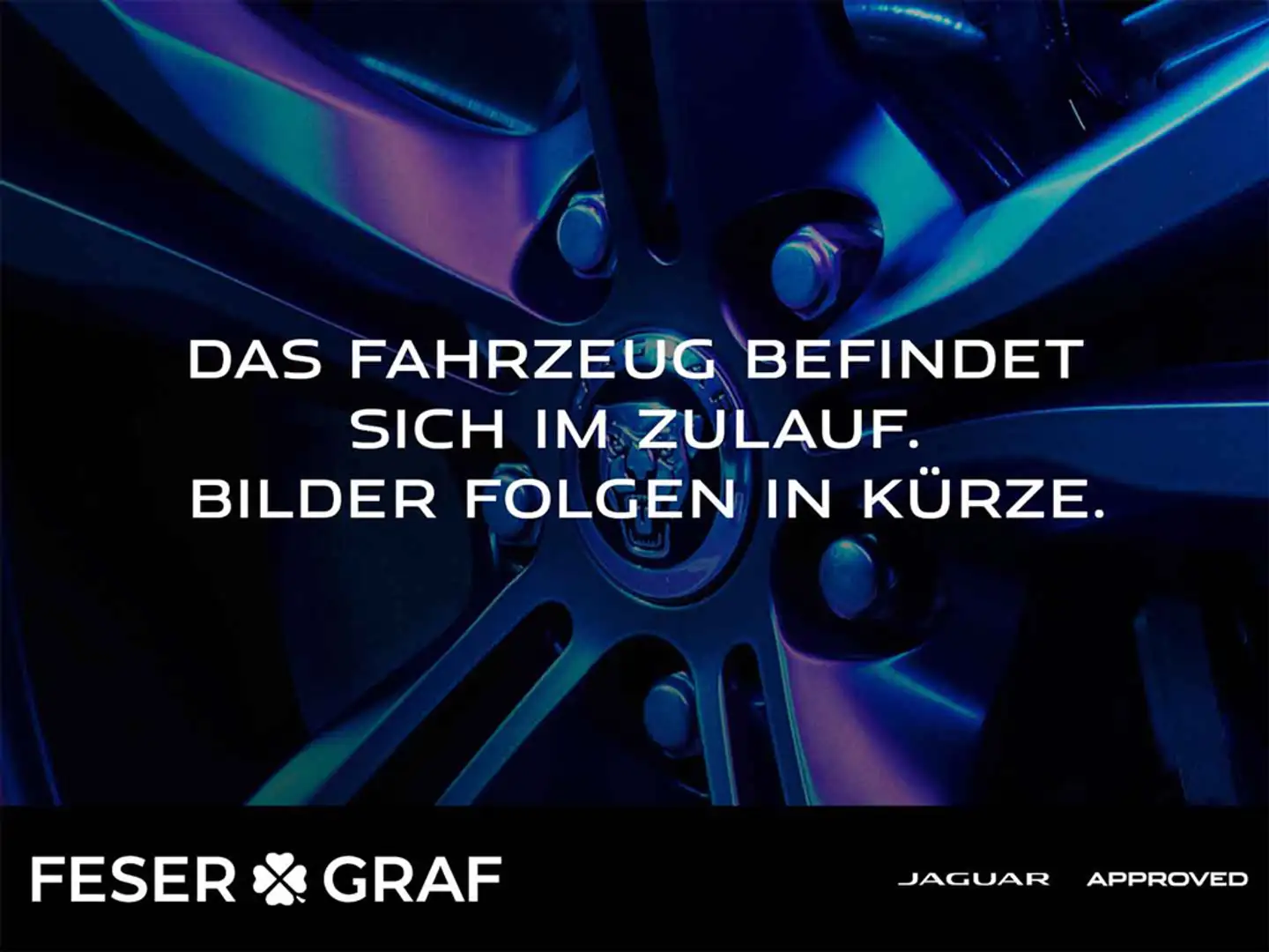 Jaguar E-Pace P300e R-Dynamic HSE HUD 20'' Pano WinterPak Schwarz - 1