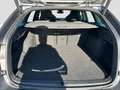 Skoda Octavia 1.5eTSI DSG Sportline Pano ACC Navi Head Grau - thumbnail 12