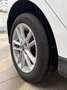 Ford Focus 1.0 Ecoboost Auto-S&S Trend 125 Blanco - thumbnail 23
