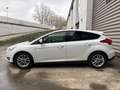 Ford Focus 1.0 Ecoboost Auto-S&S Trend 125 Blanco - thumbnail 6