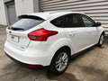 Ford Focus 1.0 Ecoboost Auto-S&S Trend 125 Blanco - thumbnail 3