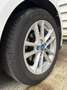 Ford Focus 1.0 Ecoboost Auto-S&S Trend 125 Blanco - thumbnail 22