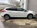 Ford Focus 1.0 Ecoboost Auto-S&S Trend 125 Blanco - thumbnail 2