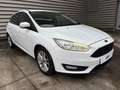 Ford Focus 1.0 Ecoboost Auto-S&S Trend 125 Blanco - thumbnail 1