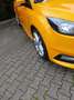 Ford Focus Focus Turnier 2.0 EcoBoost ST mit Leder-Sport-Pake Gelb - thumbnail 2