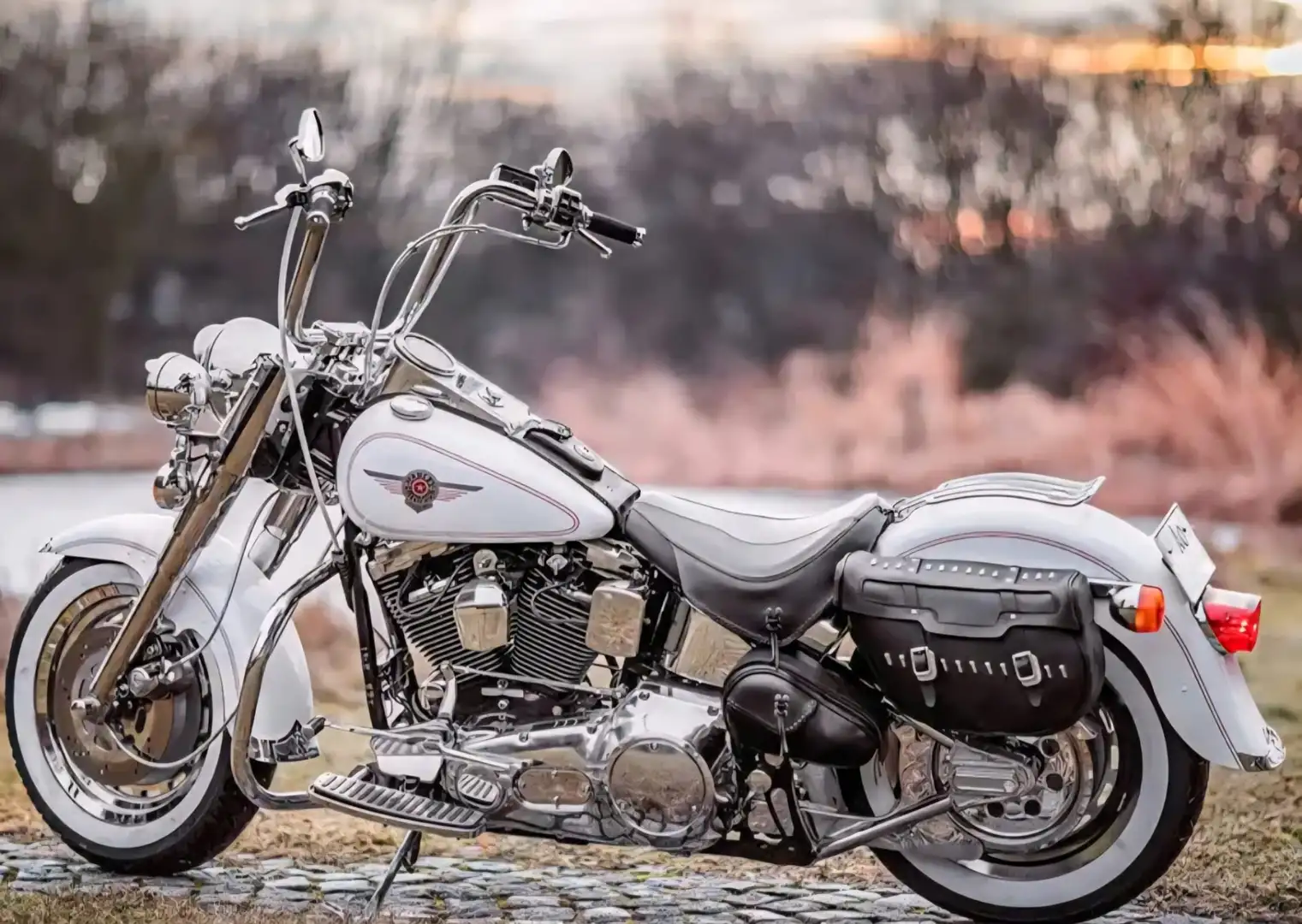 Harley-Davidson Fat Boy FLSTF Blanco - 2