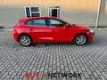 Ford Focus 1.5 EcoBlue 120 CV 5p. Business Rosso - thumbnail 7