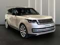 Land Rover Range Rover 3.0D I6 350 PS MHEV Auto Autobiography Amarillo - thumbnail 11