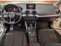 Audi Q2 Q2 30 1.6 tdi BUSINESS-tronic Bianco - thumbnail 11