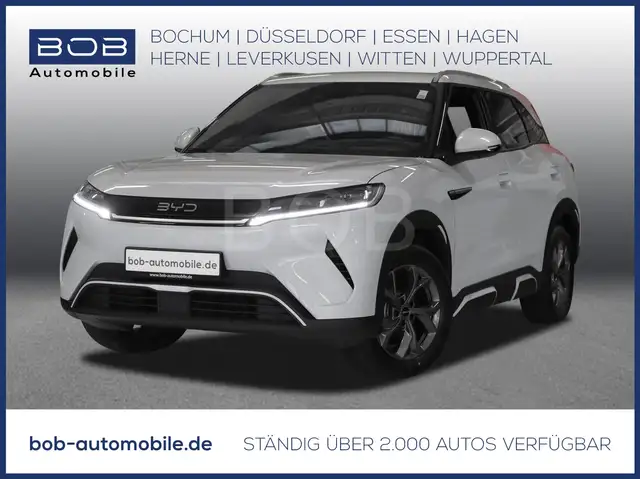 BYD Atto 2 Active 8-fach bereift