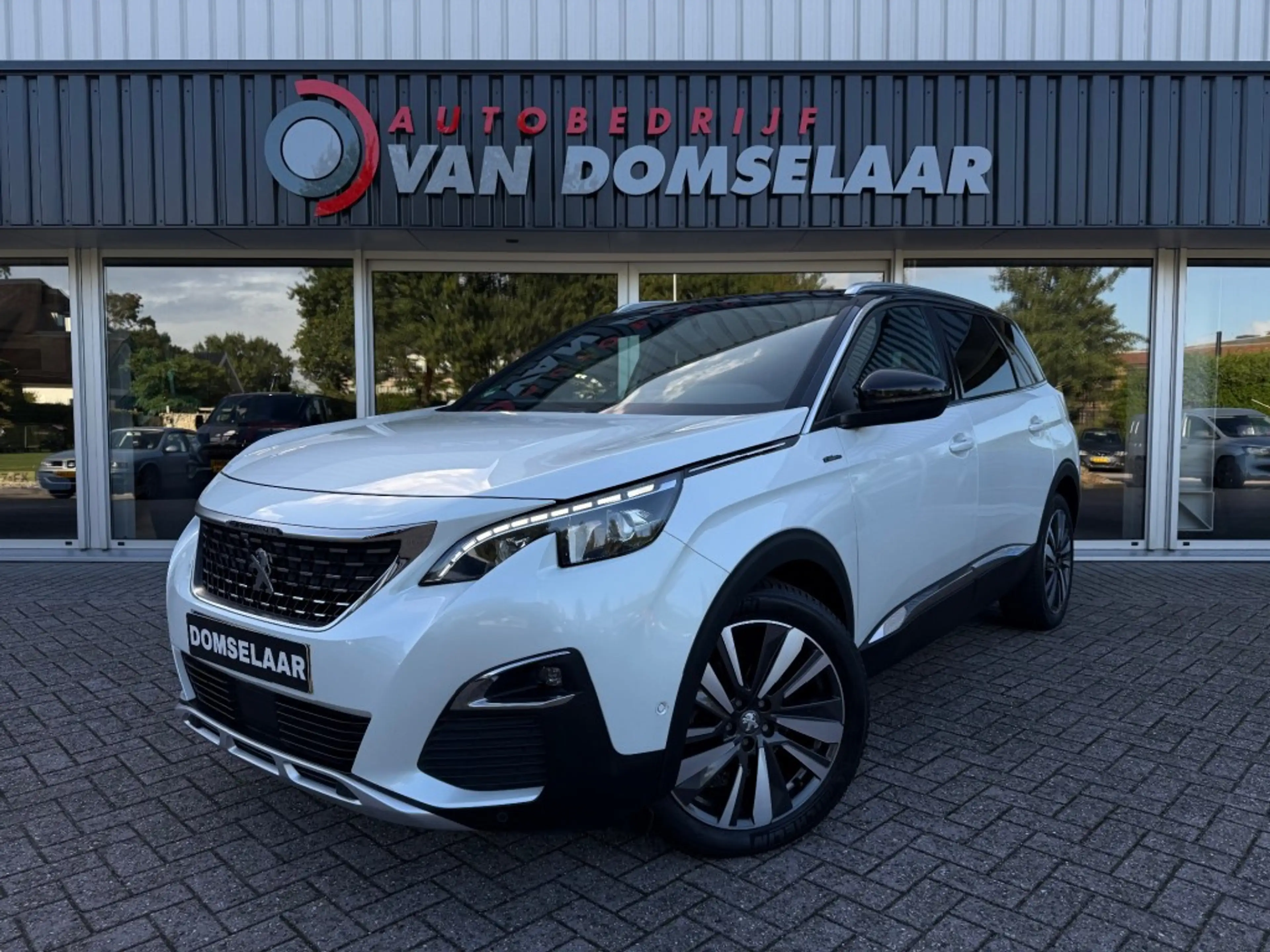 Peugeot 5008 1.6 e-THP GT-Line - 7p Pano Leder LED Memory Carpl