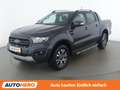 Ford Ranger 2.0 TDCi Doppelkabine 4x4 Wildtrak Blau - thumbnail 1