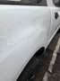 Ford Ranger Autm. Wildtrak Weiß - thumbnail 4