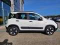 Fiat Panda 1.0 hybrid City Cross 70CV🔥OK NEOPATENTATI🔥 Bianco - thumbnail 5