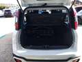 Fiat Panda 1.0 hybrid City Cross 70CV🔥OK NEOPATENTATI🔥 Bianco - thumbnail 22