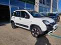 Fiat Panda 1.0 hybrid City Cross 70CV🔥OK NEOPATENTATI🔥 Bianco - thumbnail 4