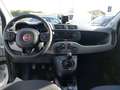 Fiat Panda 1.0 hybrid City Cross 70CV🔥OK NEOPATENTATI🔥 Bianco - thumbnail 10