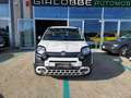 Fiat Panda 1.0 hybrid City Cross 70CV🔥OK NEOPATENTATI🔥 Bianco - thumbnail 2