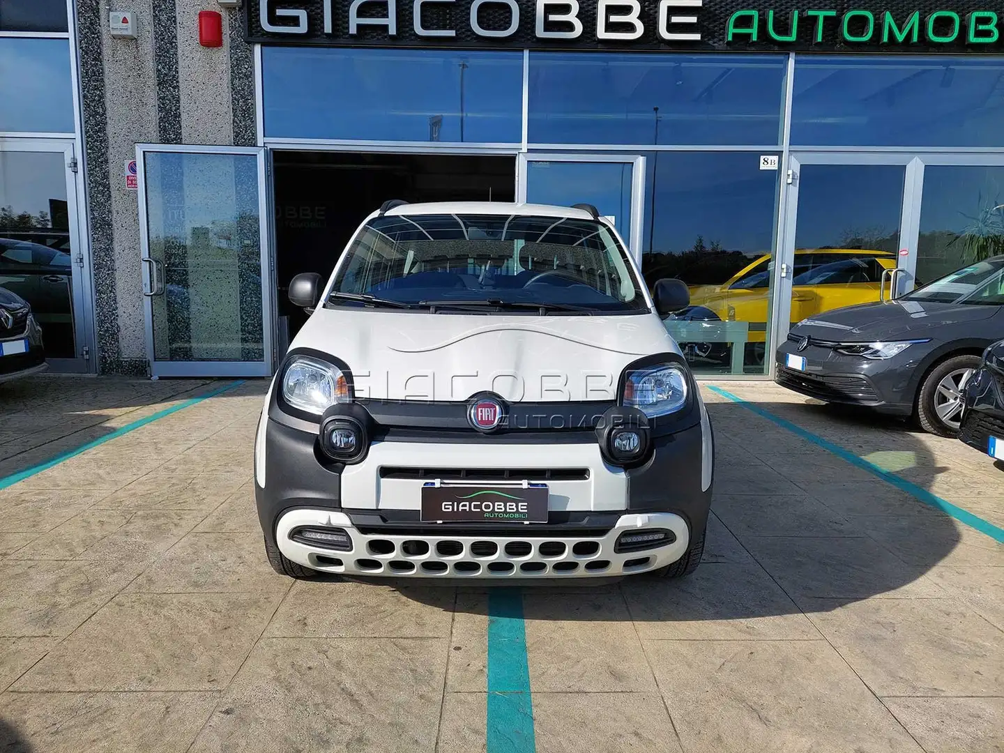 Fiat Panda 1.0 hybrid City Cross 70CV🔥OK NEOPATENTATI🔥 Blanc - 2