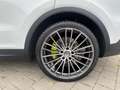 Porsche Cayenne E-Hybrid, 1. Hand, MwSt. 22 Techart Weiß - thumbnail 6