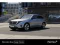 Mercedes-Benz EQC 400 4MATIC PTS LED EASY-PACK Keyl Silber - thumbnail 1