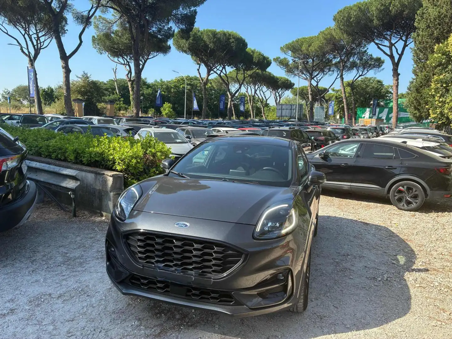 Ford Puma 1.0 Ecoboost Hybrid 125cv St Line Grigio - 1