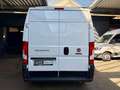 Fiat Ducato 2.2 D L2H2 KLIMAAUT CARPLAY PDC AHK 3STZ Weiß - thumbnail 5