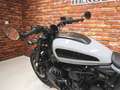 Harley-Davidson Sportster RH1250S S Grau - thumbnail 12