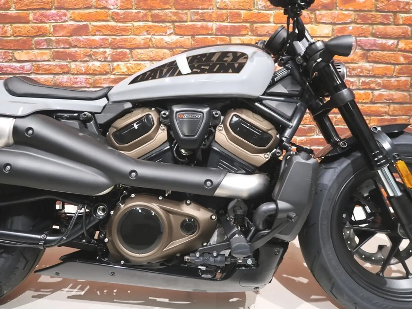 Harley-Davidson Sportster RH1250S S Grau - 2