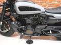 Harley-Davidson Sportster RH1250S S Grau - thumbnail 10