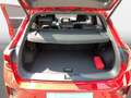 Volkswagen T-Roc R-Line 1.5 TSI Navi LED DCC Rouge - thumbnail 12
