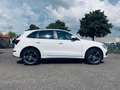 Audi Q5 2.0 TFSI quattro Pro Line S, Automaat, Panodak, Tr Blanco - thumbnail 7