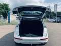 Audi Q5 2.0 TFSI quattro Pro Line S, Automaat, Panodak, Tr Blanco - thumbnail 23